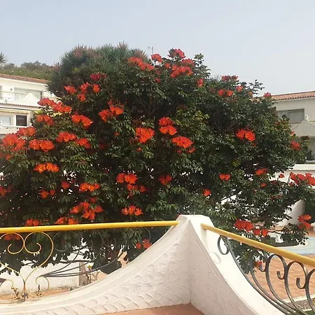 Madre Tierra Апартаменты Пуэрто-де-ла-Мадера